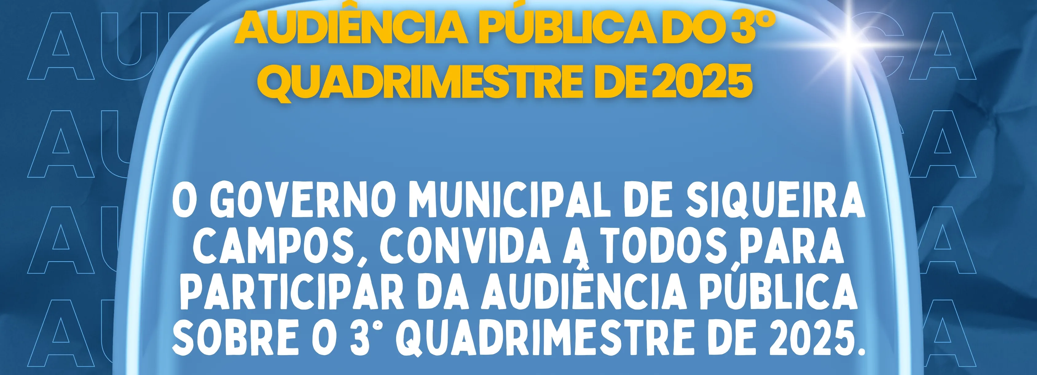 Audiência Publica 