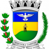 Decretos Municipais