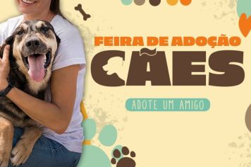 Adote um Amigo: nova Feira de Adoção de Cães!