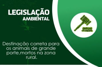 Legislação Ambiental 
