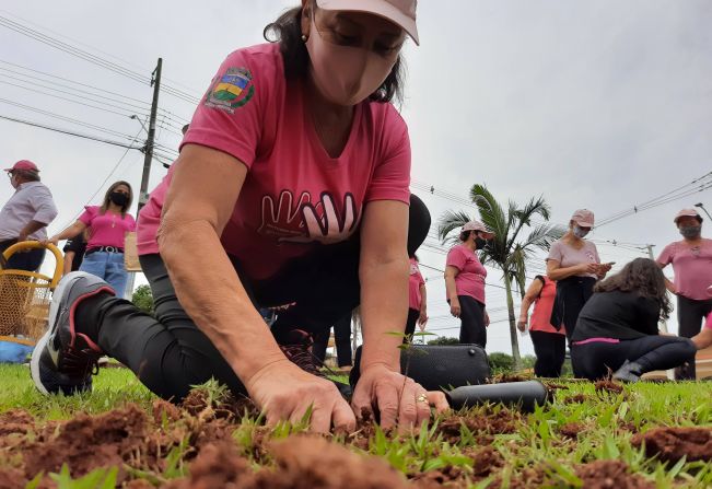 Ações do Outubro Rosa começaram