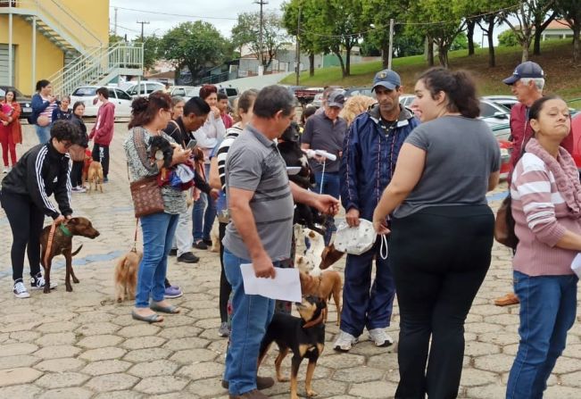 Quase 200 pets foram castrados através do Programa CastraPet, em parceria com Governo do Estado.