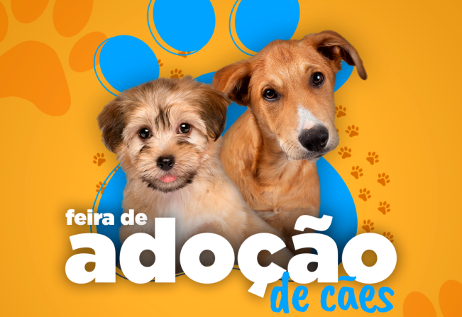 Notícia - Nova Feira de Adoção de Cães e castração gratuita para cães e  gatos - Governo Municipal de Siqueira Campos